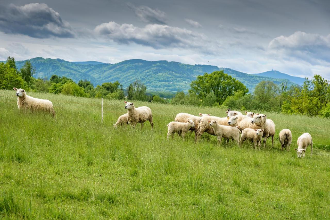 Agroturistika - "Domecek U Ovecek" Villa Horní Těrlicko Buitenkant foto