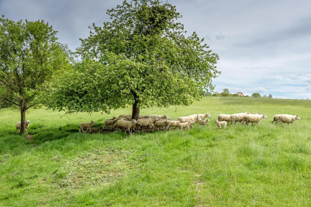 Agroturistika - "Domecek U Ovecek" Villa Horní Těrlicko Buitenkant foto