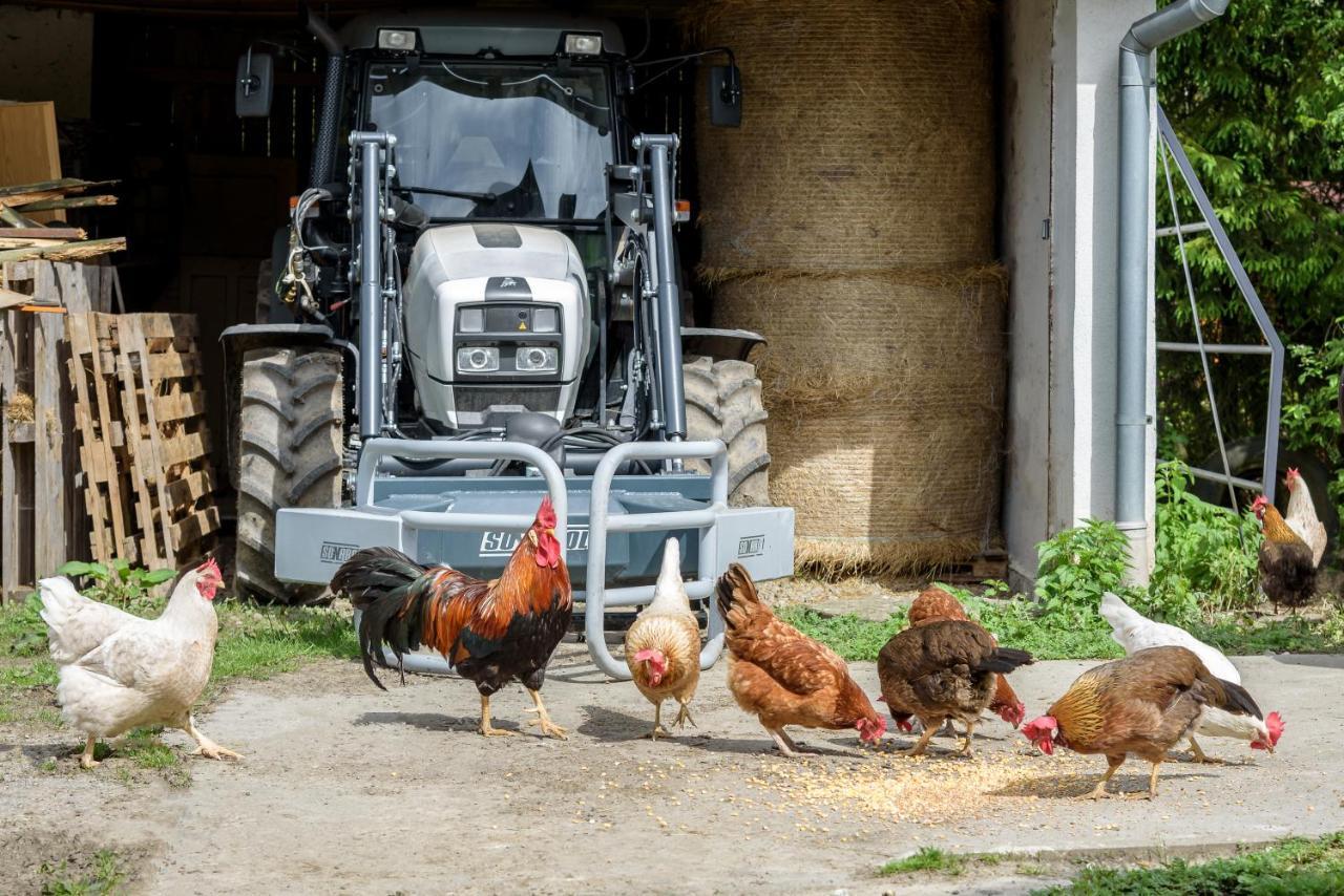 Agroturistika - "Domecek U Ovecek" Villa Horní Těrlicko Buitenkant foto