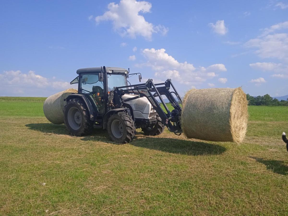 Agroturistika - "Domecek U Ovecek" Villa Horní Těrlicko Buitenkant foto